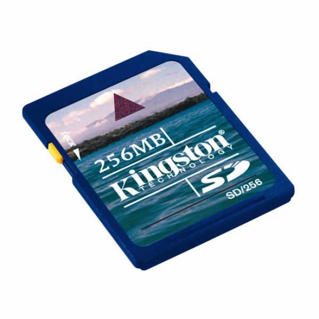 Kingston 256 MB SD Hafıza Kartı (Standart SD Kart)
