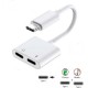Powerway Type C Uyumlu 2 in 1 Type C Şarj Kulaklık Çevirici